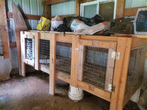 I'm looking to trade from either of my 2 chicken flocks for a male <strong>rabbit</strong>. . Craigslist rabbit cage